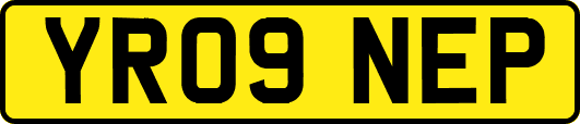 YR09NEP
