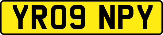 YR09NPY