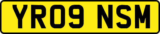 YR09NSM