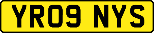 YR09NYS