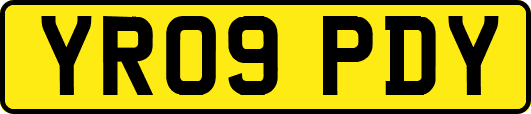 YR09PDY