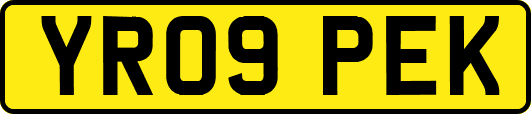YR09PEK
