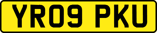 YR09PKU