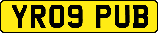 YR09PUB