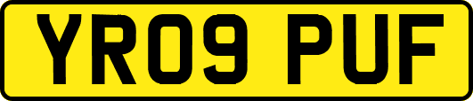 YR09PUF