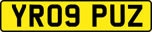 YR09PUZ