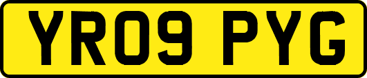 YR09PYG