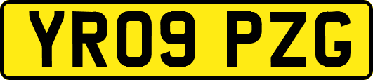 YR09PZG