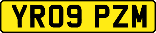 YR09PZM