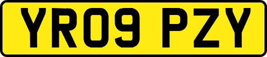 YR09PZY