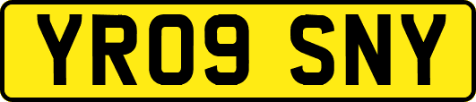 YR09SNY