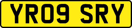 YR09SRY