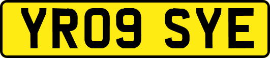 YR09SYE
