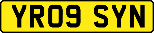YR09SYN