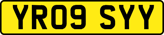 YR09SYY