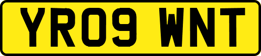 YR09WNT