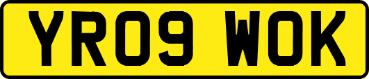 YR09WOK