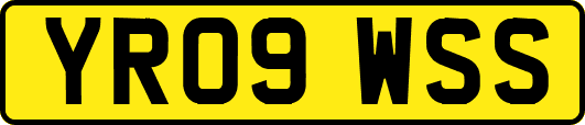 YR09WSS