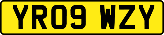 YR09WZY