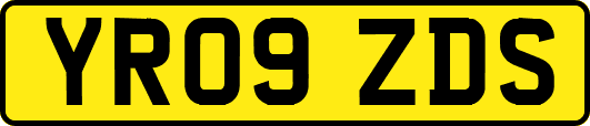 YR09ZDS