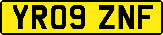 YR09ZNF