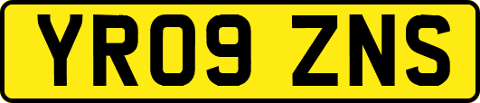 YR09ZNS