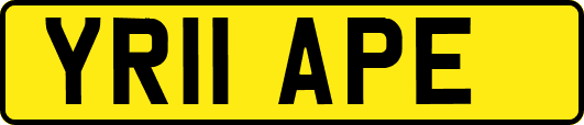 YR11APE