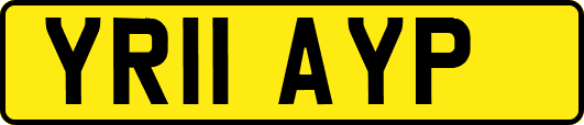 YR11AYP