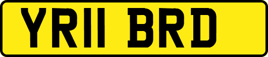 YR11BRD