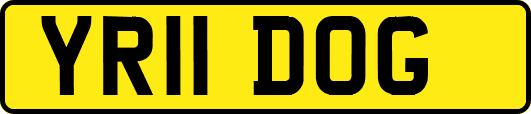 YR11DOG