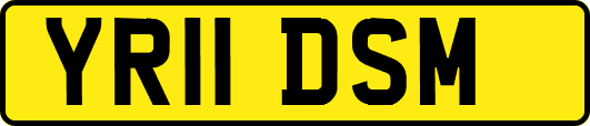 YR11DSM