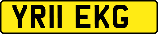 YR11EKG