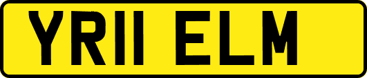 YR11ELM