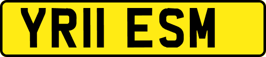 YR11ESM