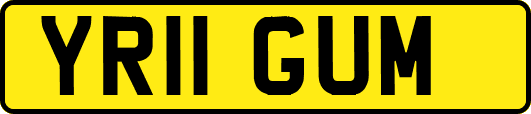 YR11GUM
