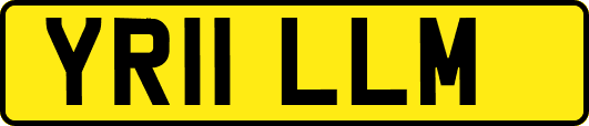 YR11LLM