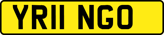 YR11NGO