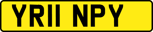 YR11NPY