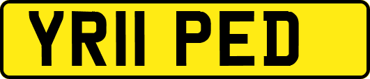 YR11PED