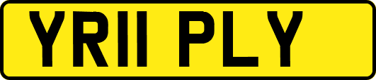 YR11PLY