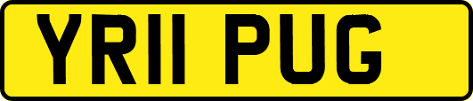YR11PUG