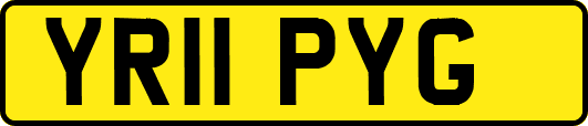 YR11PYG