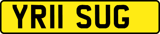 YR11SUG