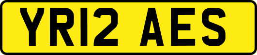 YR12AES