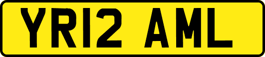 YR12AML