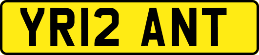 YR12ANT