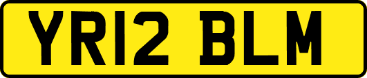 YR12BLM