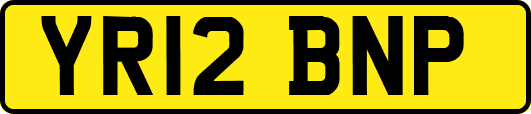 YR12BNP