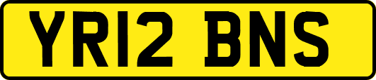 YR12BNS