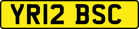 YR12BSC